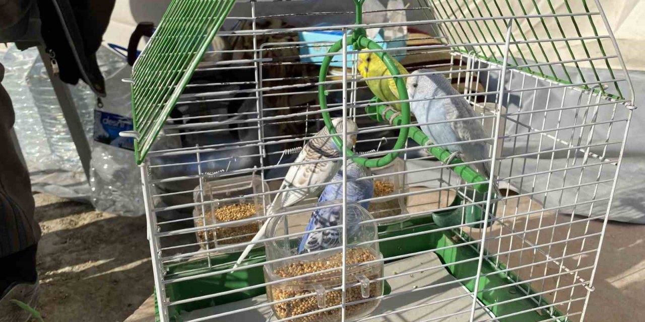 Hatay’da Enkazdan Kurtardığı Kuşlarına Çadır Kentte Bakıyor