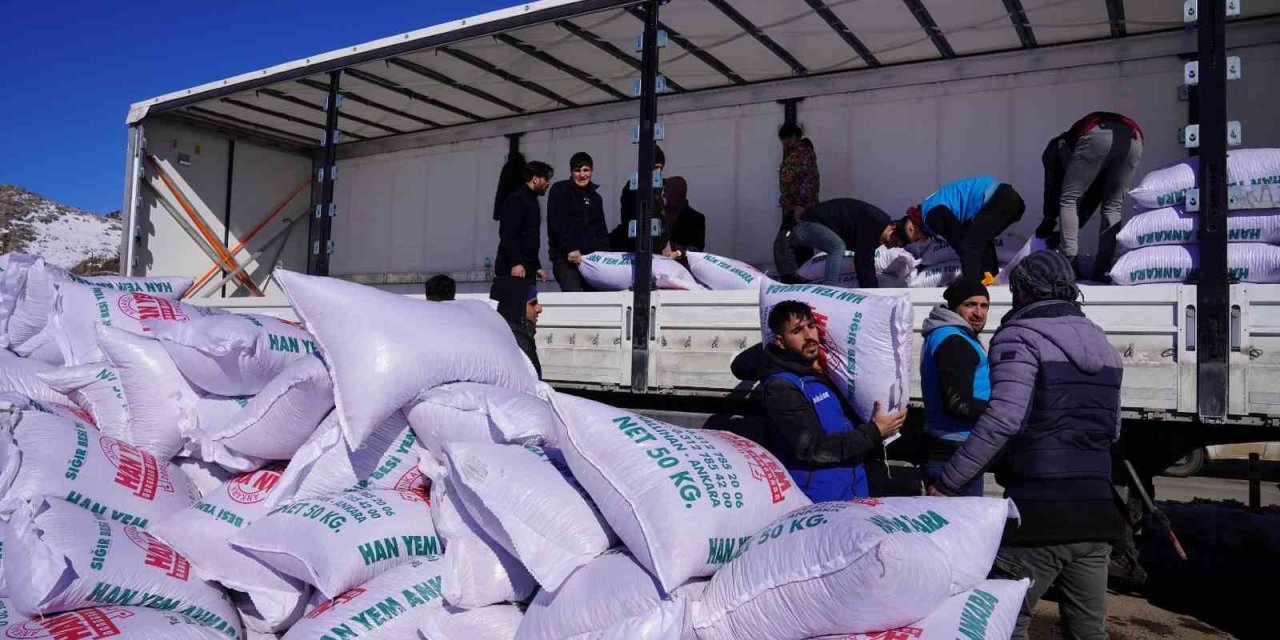 Muş Valiliğinden Depremzede Besicilere 250 Ton Yem Desteği
