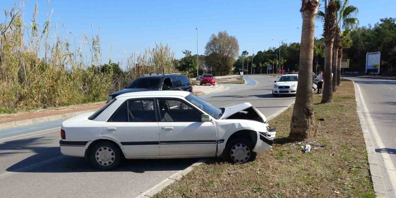Alkolden Ehliyeti İptal Edilen Sürücü Otomobille Palmiyeye Çarptı