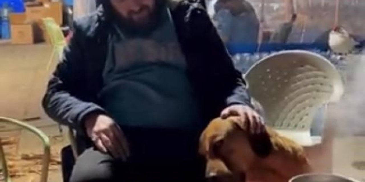 Sahibini Depremde Kaybeden Köpeğin Görüntüleri İzleyenleri Şaşırttı