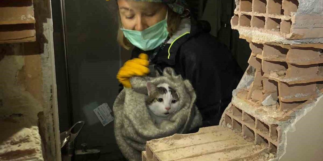 Make Ekibi Enkaza Girip Yaralı Kediyi Kurtardı
