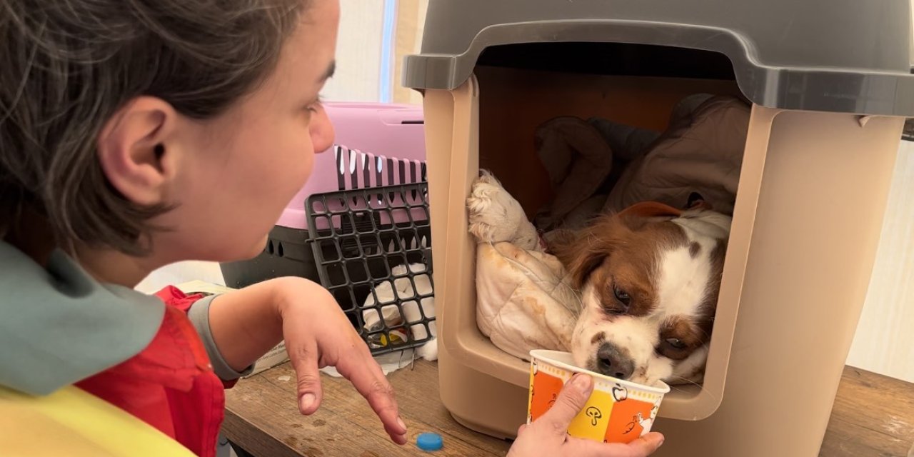 Depremde Kaybolan Köpeklerini Gören Aile Gözyaşlarına Hakim Olamadı