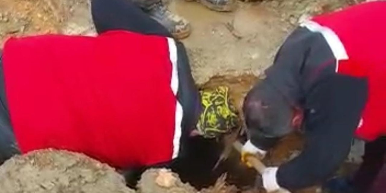 322 Saat Sonra Enkazdan İki Koyun Ve Bir Kuzu Canlı Çıkarıldı