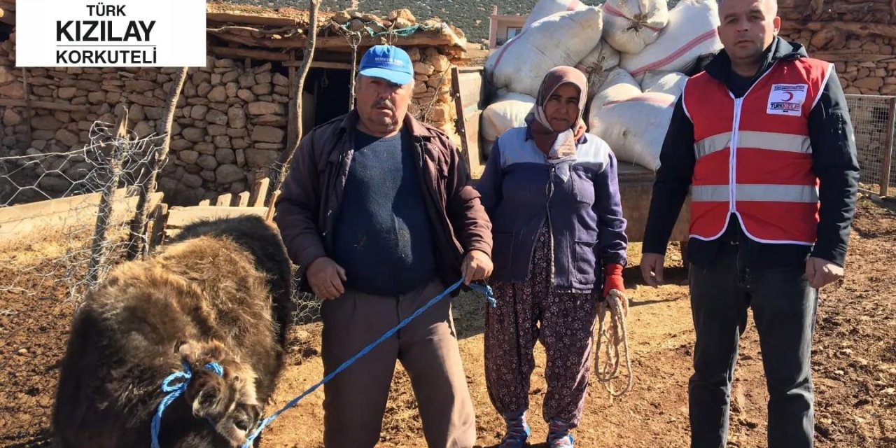 Depremzedelere Büyükbaş Hayvanını Bağışladı