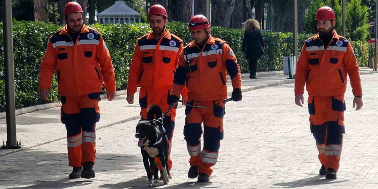 Depremzede Köpek ‘hayat’, Yeni Hayatlar Kurtaracak