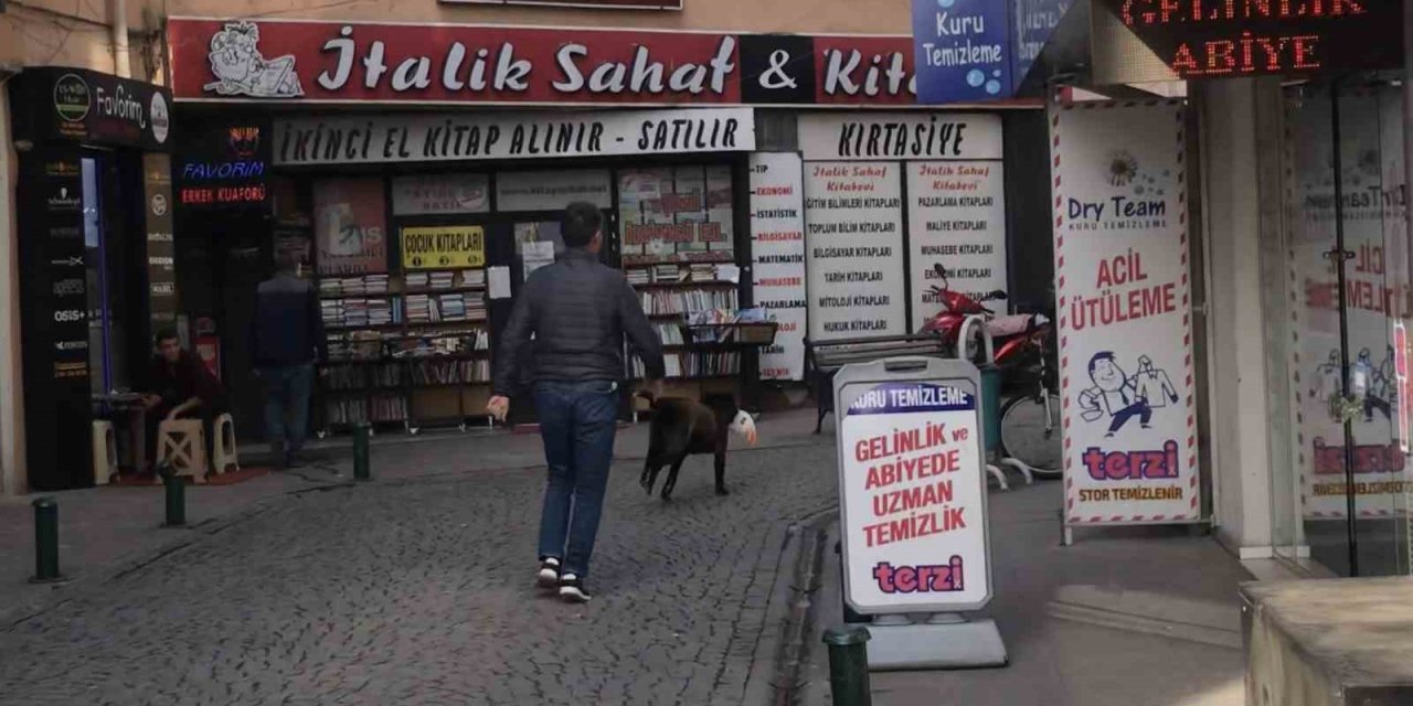 Sokak Köpeği Mağazadan Pelüş Oyuncak Çaldı