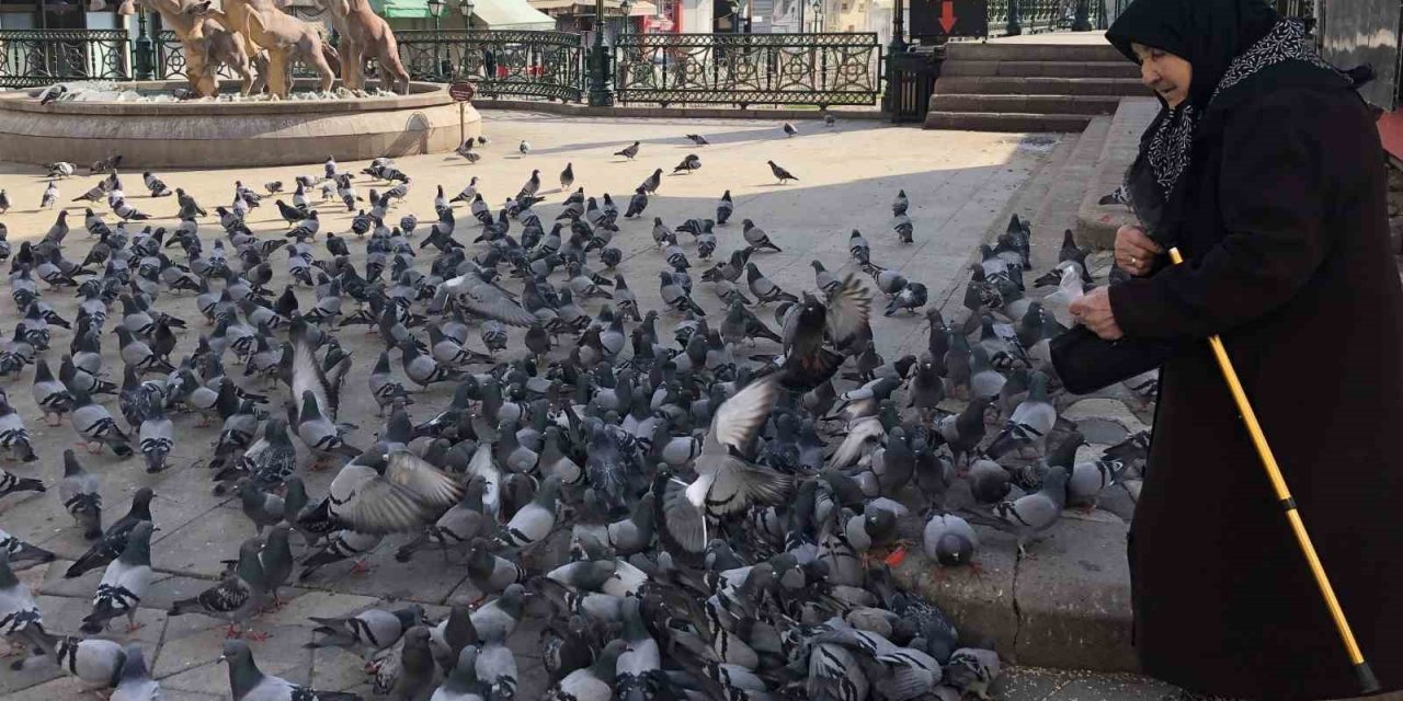 7’den 70’e Hayvan Sevgisi