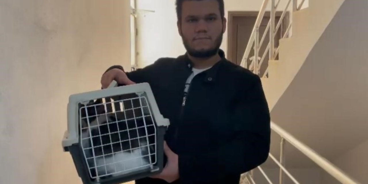 10 Bin Tl Ödülle Aradığı Kedisini, Rüyasına Girdiği Yerde Buldu