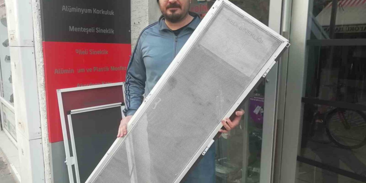 Kediler Camdan Düşmesinler Diye Alüminyumdan Sineklik Üretti