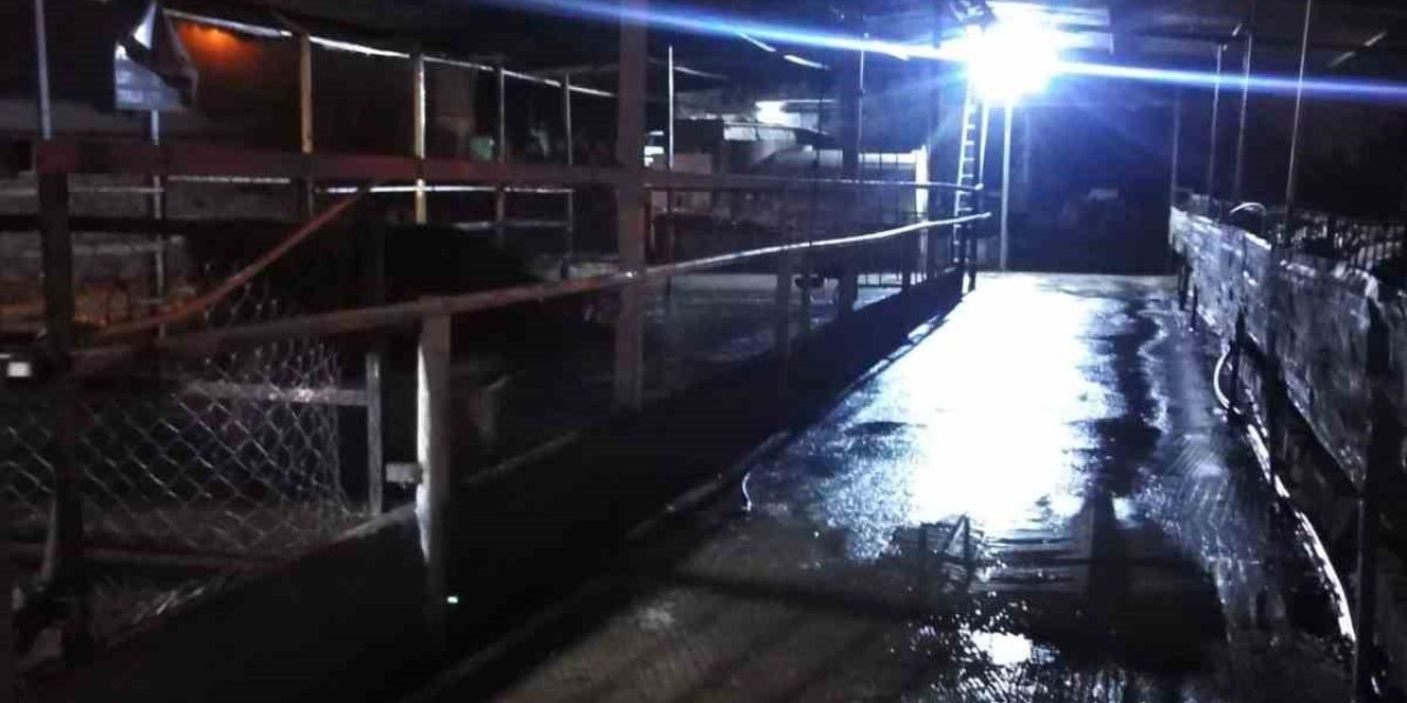 Çıkan Yangında Hayvanların Barınakları Ve Yiyecekleri Kül Oldu