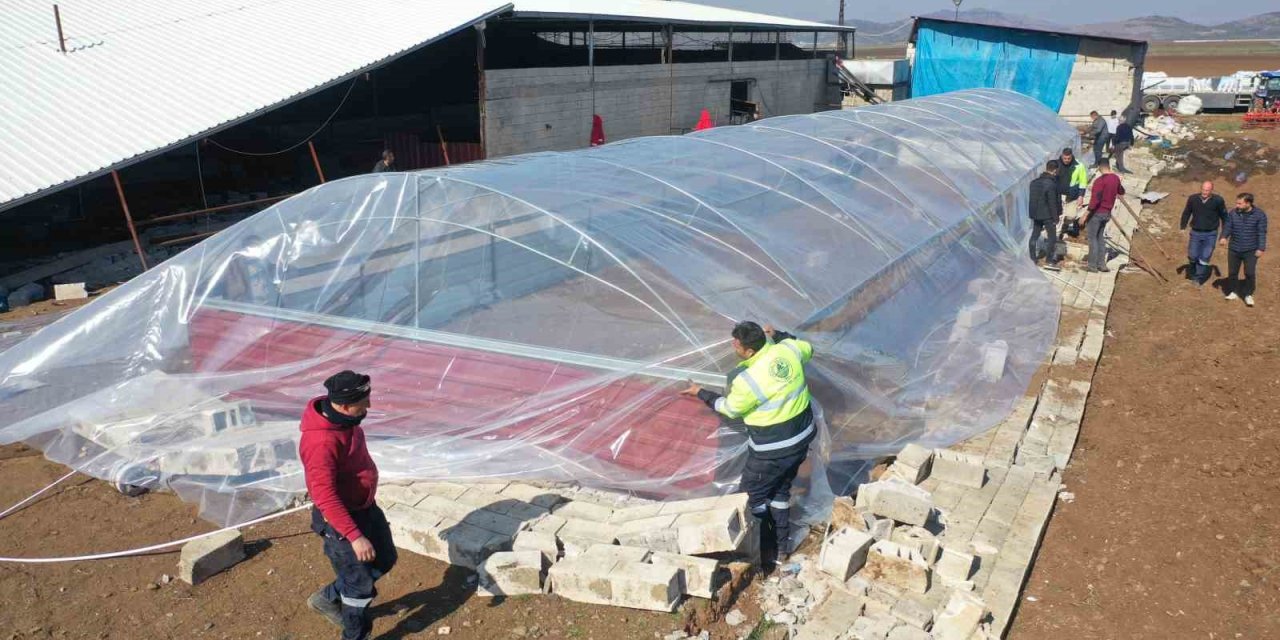 Erdemli Belediyesi Ağıl Yaptı, Hayvanlar Soğuktan Ölmekten Kurtarıldı