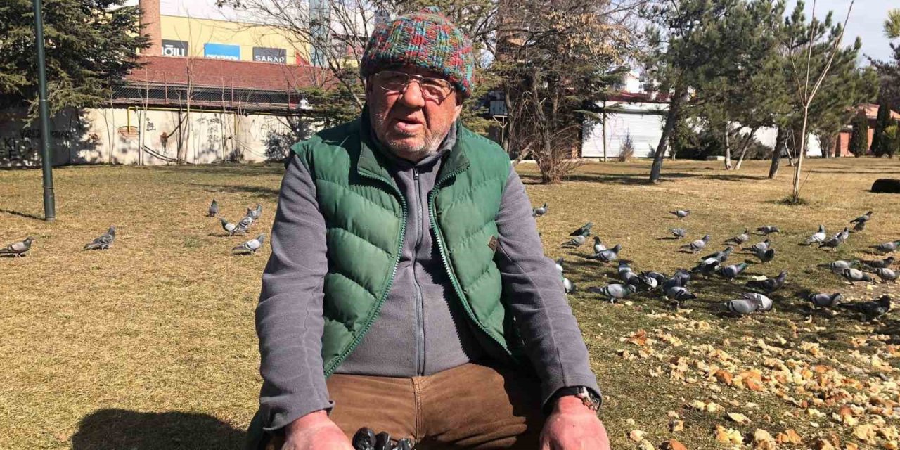 Vatandaş Tramvaylardaki Sevimli Dostlardan Memnun