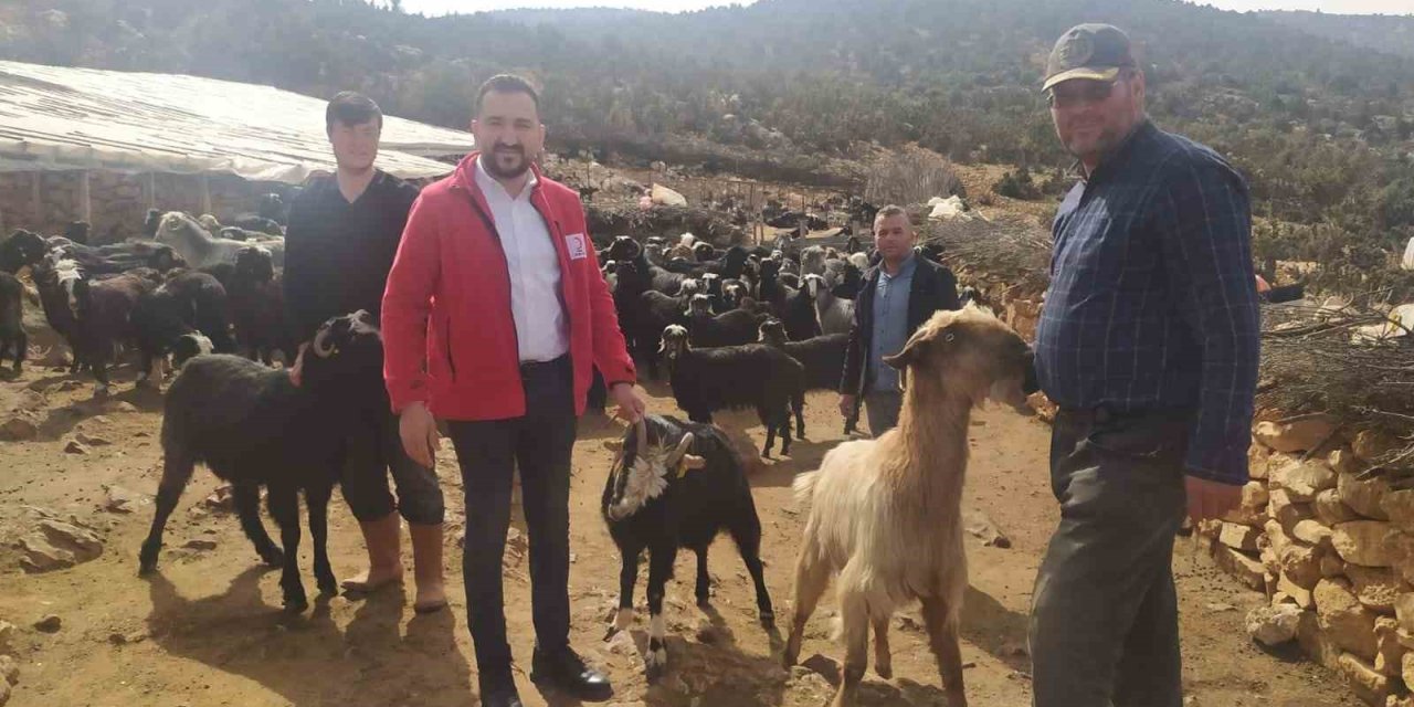 Antalya’da Çobanlardan Kızılay’a 10 Küçükbaş Hayvan Bağışı