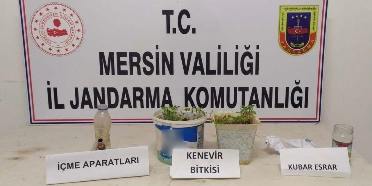 Saksıda Kenevir Yetiştiren Şüpheli Yakalandı