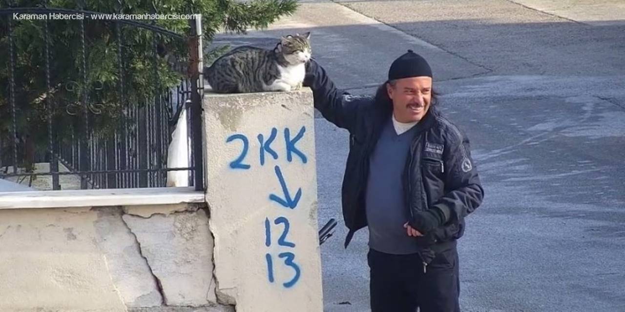 Vatandaşın Kediyle Muhabbeti