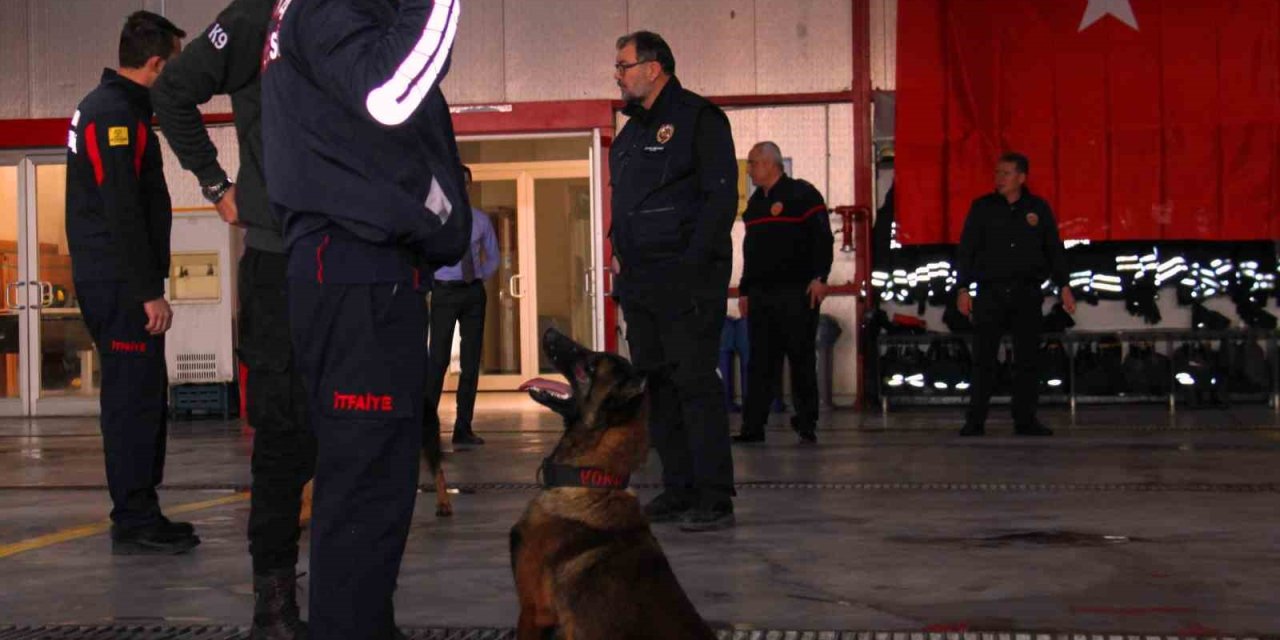 İtfaiye Erinin Eğittiği Arama Kurtarma Köpekleri 18 Kişinin Hayatına Dokundu