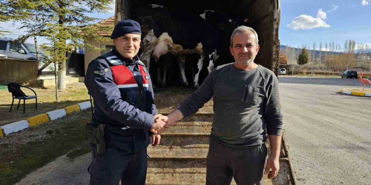 Konya’da 300 Bin Lira Değerinde Büyükbaş Hayvan Çaldığı İddia Edilen Şüpheli Tutuklandı