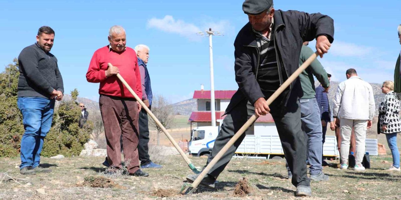Korkuteli’de Antepfıstığı Yetiştiriciliği Yapılacak