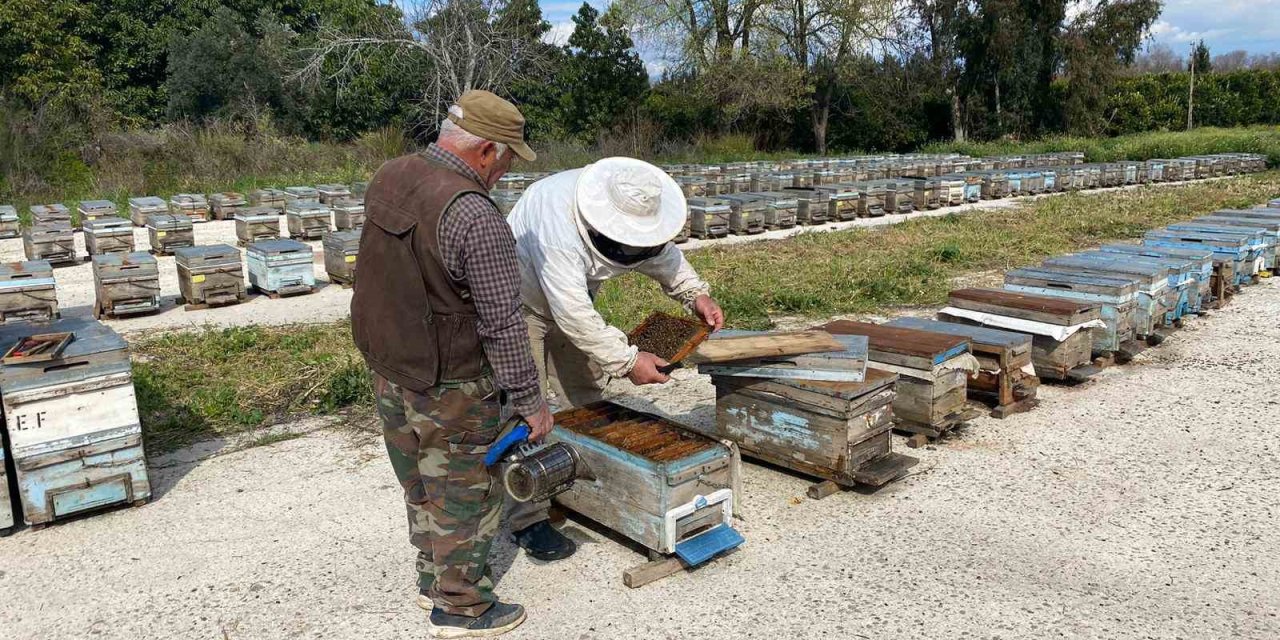 Arıcıların Kışlama Mesaisi Başladı