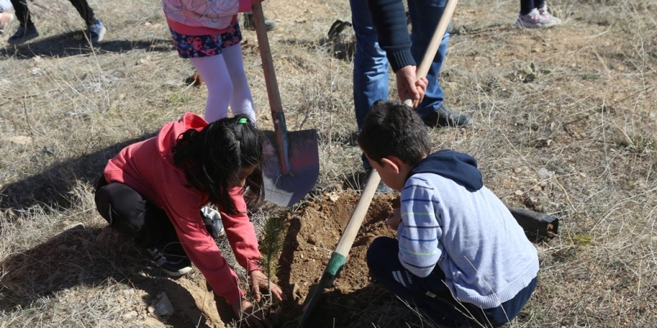 Fidan Dikimine Minikler De Katıldı