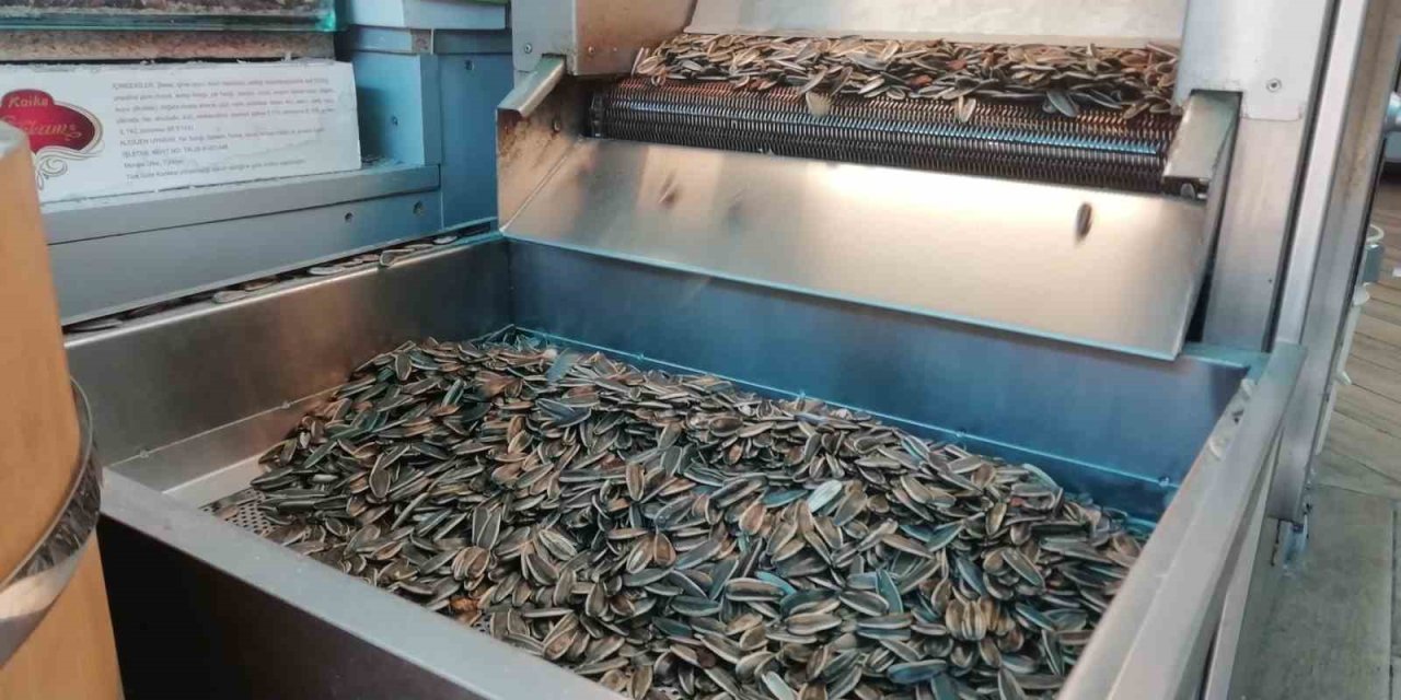 Taze Çekirdeğin Kokusunu Duyan Geliyor