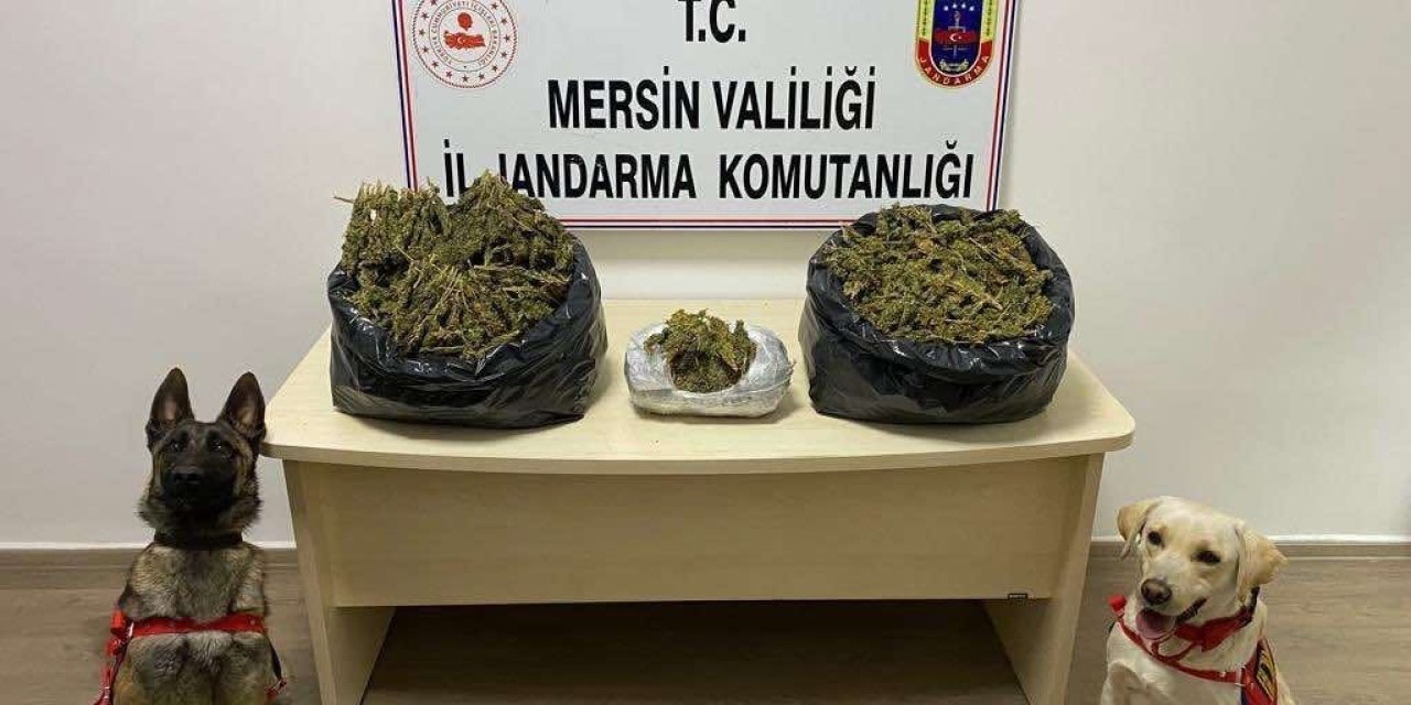 Mersin’de Uyuşturucu Operasyonu: 2 Gözaltı