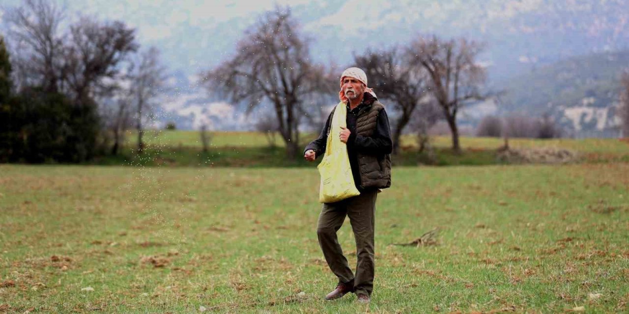 Ata Tohumu Desteği İle Ekilemeyen Alanlar Tarıma Kazandırılıyor
