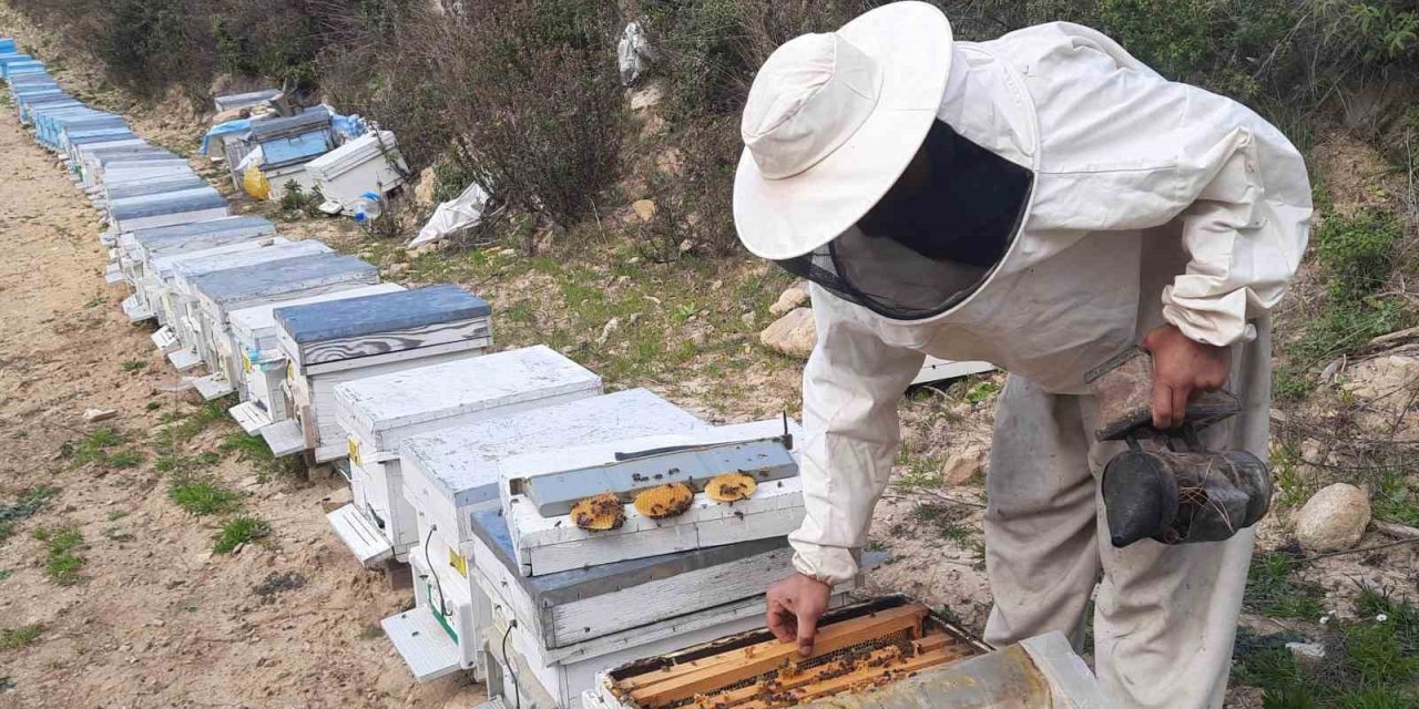 Konyalı Arıcıların Zorlu Mesaisi