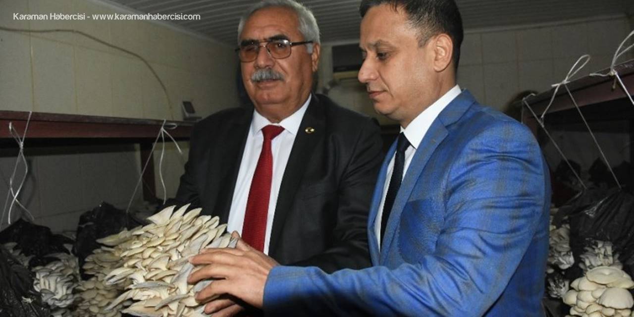 Tarsus’ta İstiridye Mantarı Hasadı Yapıldı