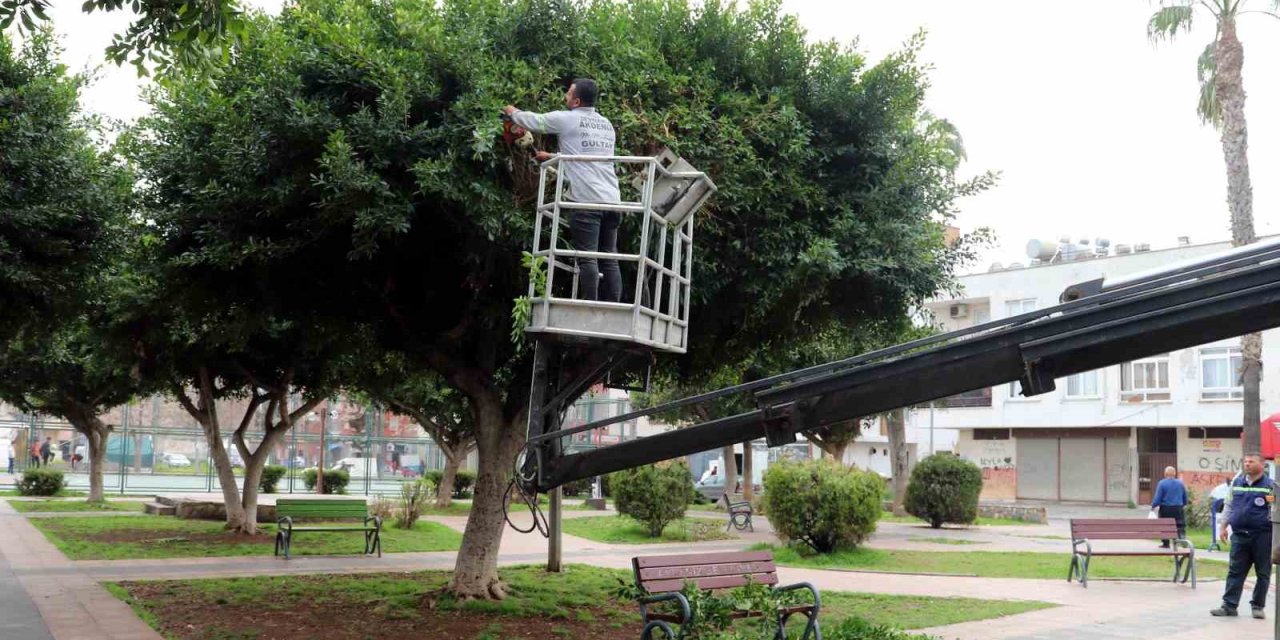 Akdeniz’de Park, Bahçe Ve Yeşil Alanlar Yenileniyor