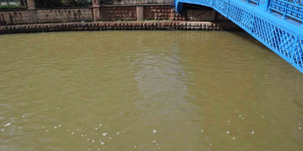 Porsuk Kahverengiye Büründü