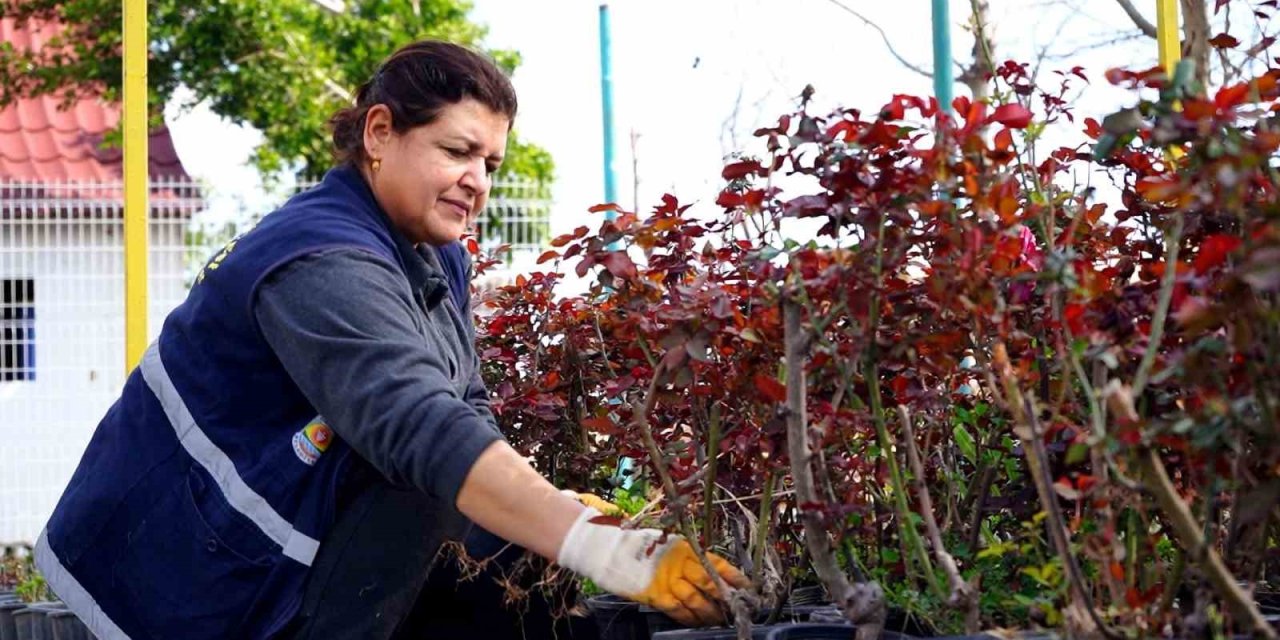 Tarsus Belediyesi Üretiyor Vatandaş Faydalanıyor