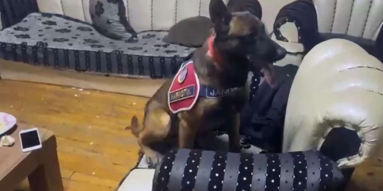 Deve Ahırında 2 Kilo Uyuşturucu Daha Ele Geçirildi