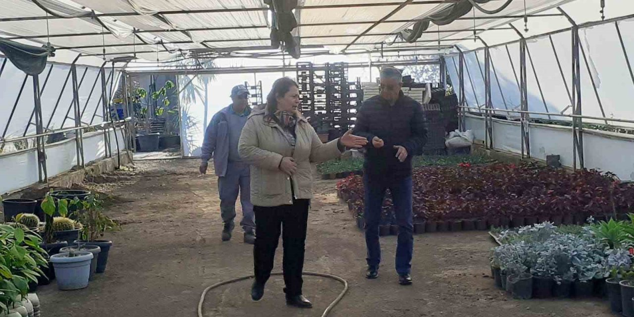 Kemer’in Çiçekleri Sezona Hazır