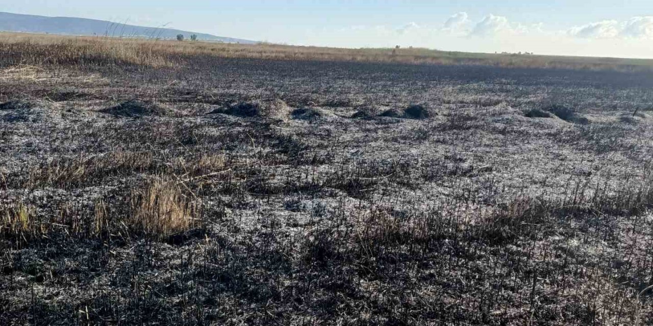 Koruma Altındaki Göksu Deltası’nda Çıkan Yangın Kendiliğinden Söndü