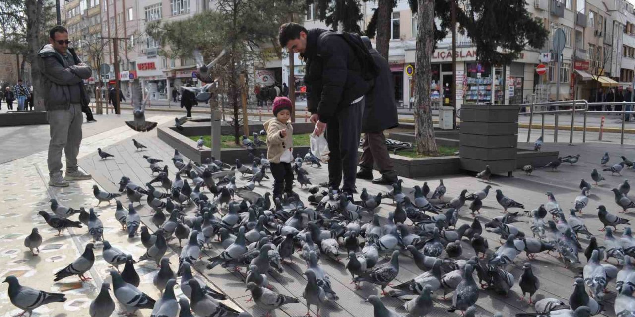 Hayvan Sevgisi Bu Yaşta Böyle Başlıyor