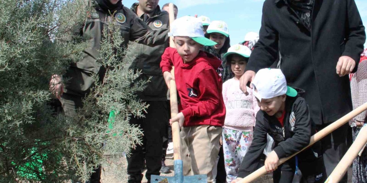 Konya’da Deprem Şehitleri Hatıra Ormanı Kuruldu