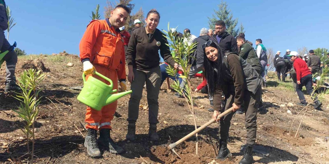 Erdemli’de Deprem Şehitleri Hatıra Ormanına İlk Fidanlar Dikildi