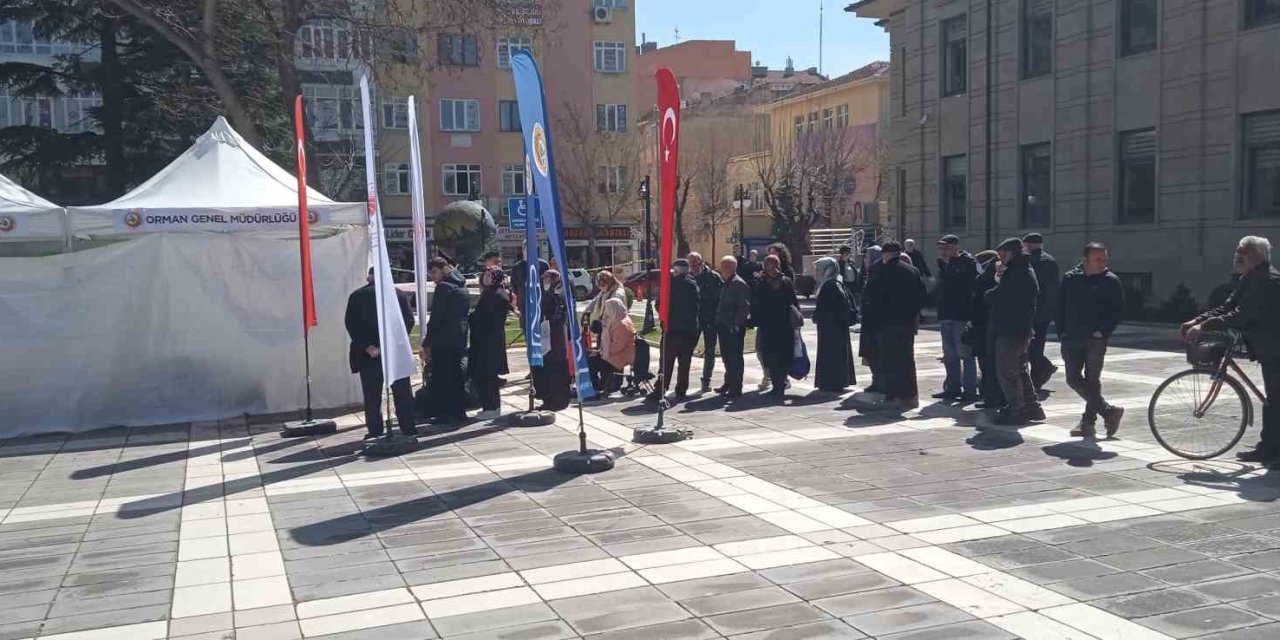 Valilikten Vatandaşlara Fidan Dağıtımı