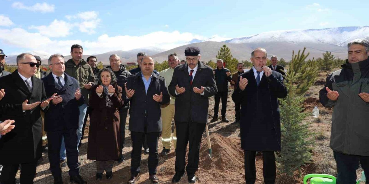 Niğde'de Deprem Şehitleri Hatıra Ormanı