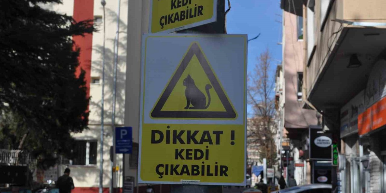 Hız Yapan Duyarsız Sürücüler İçin “dikkat Kedi Çıkabilir” Yazılı Önlem
