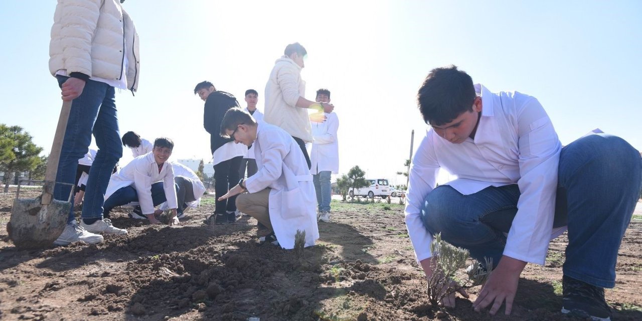 Karatay Belediyesinden “lavanta Kokulu Okullar” Projesi