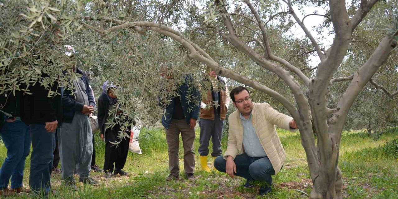Mersin’de Doğru Tarımsal Üretim İçin Teorik Ve Uygulamalı Eğitim