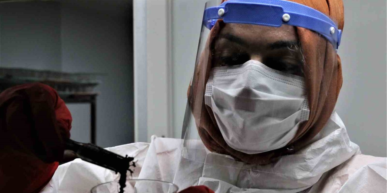 Antalya’da 50 Metrekare Alanda 60 Bin "terminatör" Böcek Üretiliyor