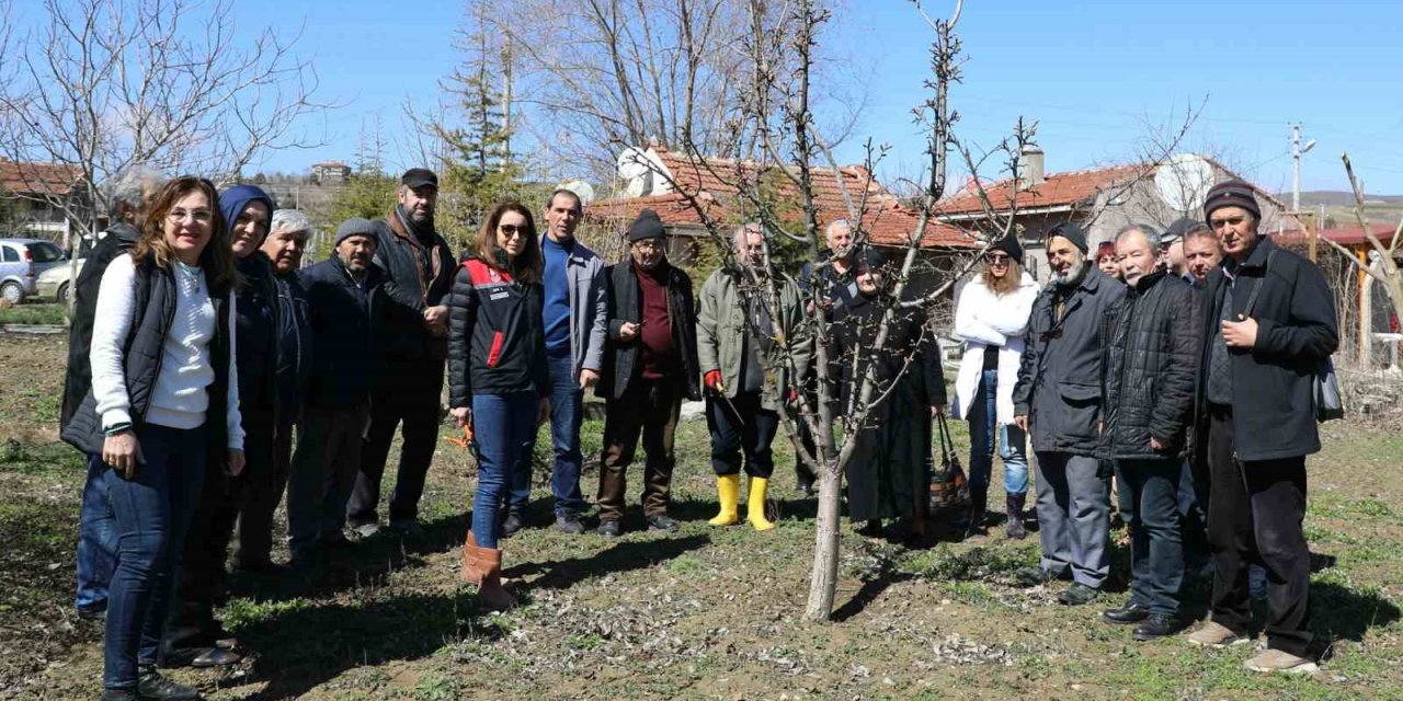 Eskişehir Çiftçisine Meyve Ağaçlarında Aşılama Kursu