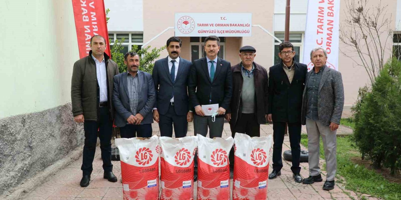 Günyüzü Çiftçisi Gündöndü İle Kazanacak