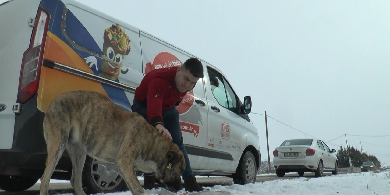 Kar Yağdı, Sokak Hayvanları Unutulmadı