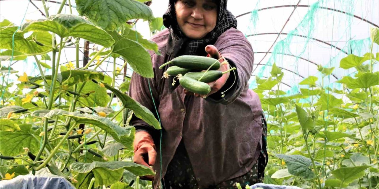 Antalya Hali’nde Bahar Hareketliliği: Ürün Fiyatları Yüzde 50 Düştü