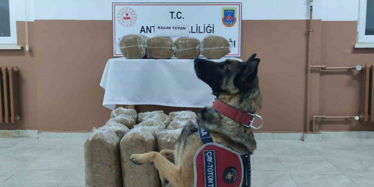 Antalya’da Kaçakçılarla Mücadele