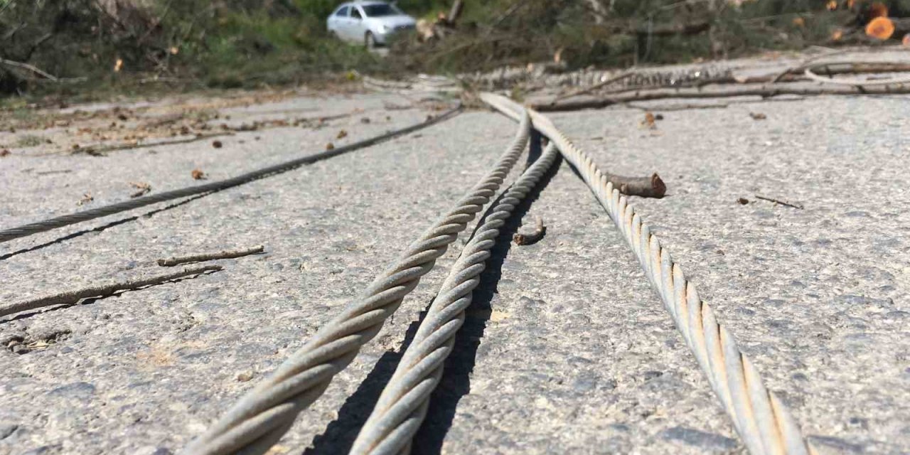 Rüzgarda Devrilen Asırlık Ağaç Yolu Ulaşıma Kapattı